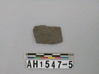 藏品(灰黑色夾砂陶片)的圖片